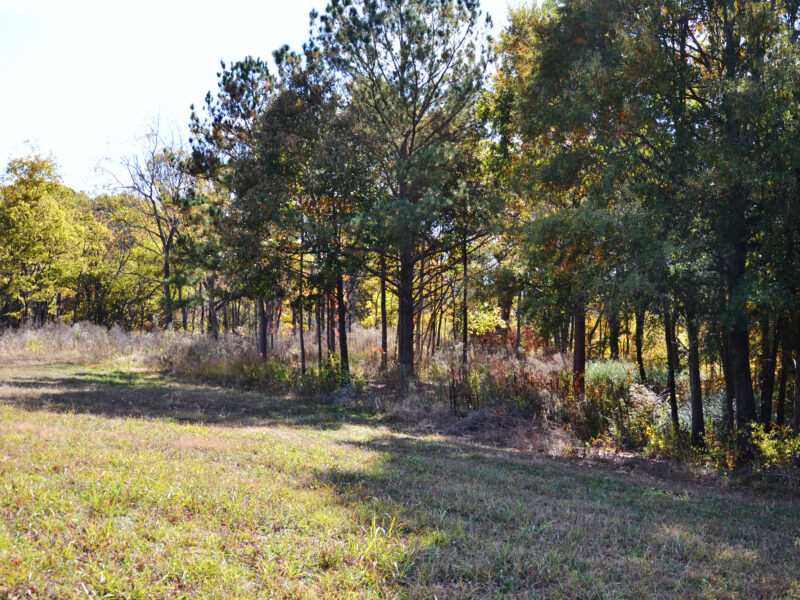 3.2 Residential Acres in City of Sweetwater w/ All Utilities