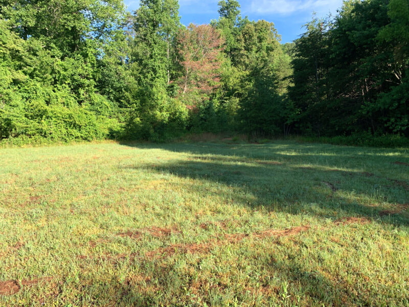 Excellent Residential Development Tract in Clinton – 85 Acres