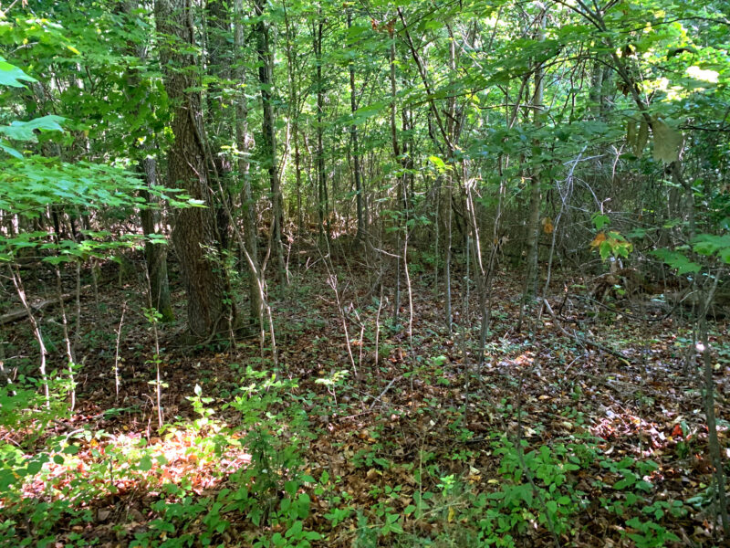 Excellent Residential Development Tract in Clinton – 85 Acres